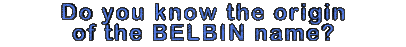 Click here to share your ideas with BelbinMania