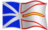 The Flag of Newfoundland from proud Newfie TED BELBEN