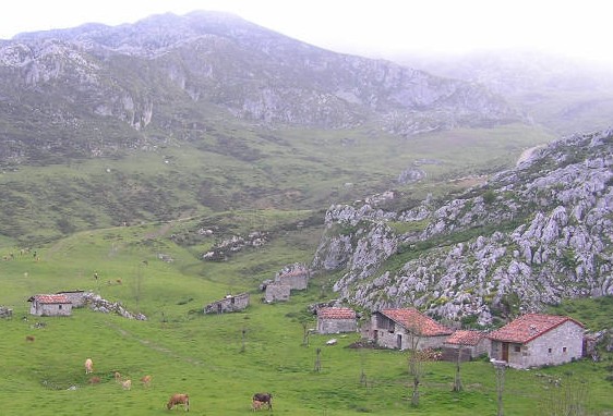 A view of the collection of shepherd's huts at the BELBIN SINK