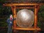 Muir Woods