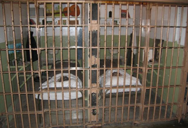 Life in the Cells