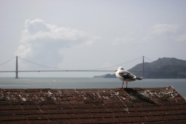 Golden Gate Bridge
